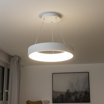 Brilagi - Lustră suspendată LED reglabilă pe cablu FALCON, LED/40W/230V, 3000-6500K, Ø 45 cm, albă + telecomandă