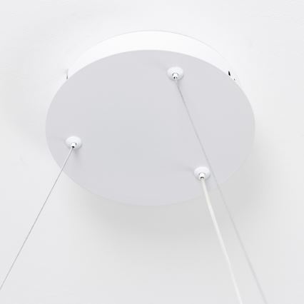 Brilagi - Lustră LED dimabilă suspendată pe cablu FALCON SLIM LED/42W/230V 3000-6500K Ø 50 cm alb + telecomandă