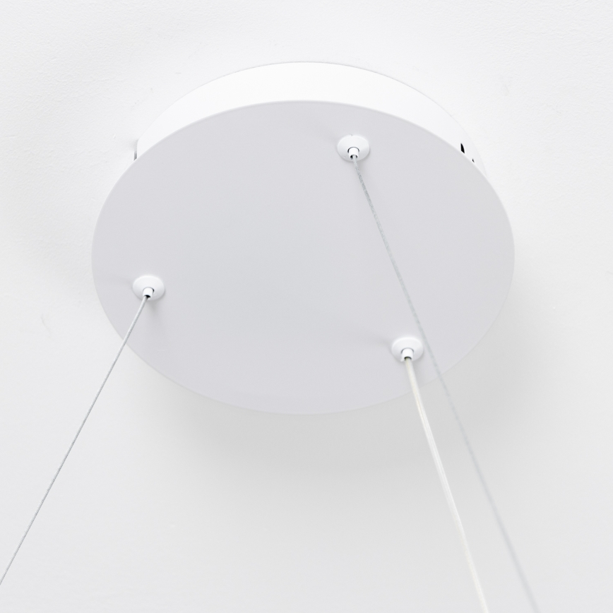 Brilagi - Lustră LED dimabilă suspendată pe cablu FALCON SLIM LED/42W/230V 3000-6500K Ø 50 cm alb + telecomandă