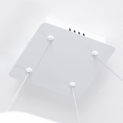 Brilagi - Lustră LED dimerizabilă pe cablu FALCON SLIM LED/50W/230V 3000-6500K 50x50 cm alb + telecomandă