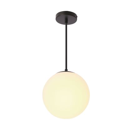 BRILAGI - Lustră suspendată pe cablu POLOS 1xE27/40W/230V Ø 20 cm neagră