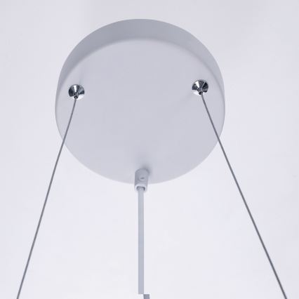 BRILAGI - Lustră suspendată pe cablu SELE 4xGU10/30W/230V albă