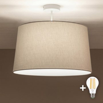 Brilagi - Lustru aplicat LED CERIA 1xE27/60W/230V, diametru 45 cm, alb/gri