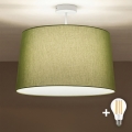 Brilagi - Lustru aplicat LED CERIA 1xE27/60W/230V Ø 45 cm alb/verde