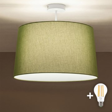Brilagi - Lustru aplicat LED CERIA 1xE27/60W/230V Ø 45 cm alb/verde