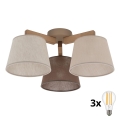 BRILAGI - lustru LED aplicat LATTE SABIA 3xE27/15W/230V pin/mix
