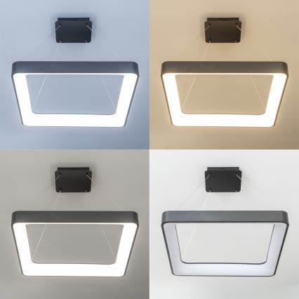 Brilagi - Lustră LED reglabilă suspendată pe cablu FALCON II LED/125W/230V 3000-6500K 60x60 cm neagră + telecomandă