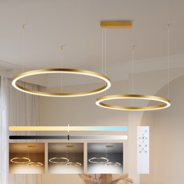 Brilagi - Lustru LED dimabil pe cablu PORTOFINO LED/98W/230V 3000-6000K auriu + telecomandă