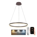 Brilagi - Lustru LED dimabil suspendat pe cablu CIRCLE LED/42W/230V 3000-6500K Ø 60 cm maro + telecomandă