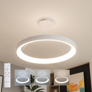 Brilagi - Lustru LED dimabil suspendat pe cablu FALCON II, LED 108W/230V, 3000-6500K, Ø 80 cm, alb + telecomandă