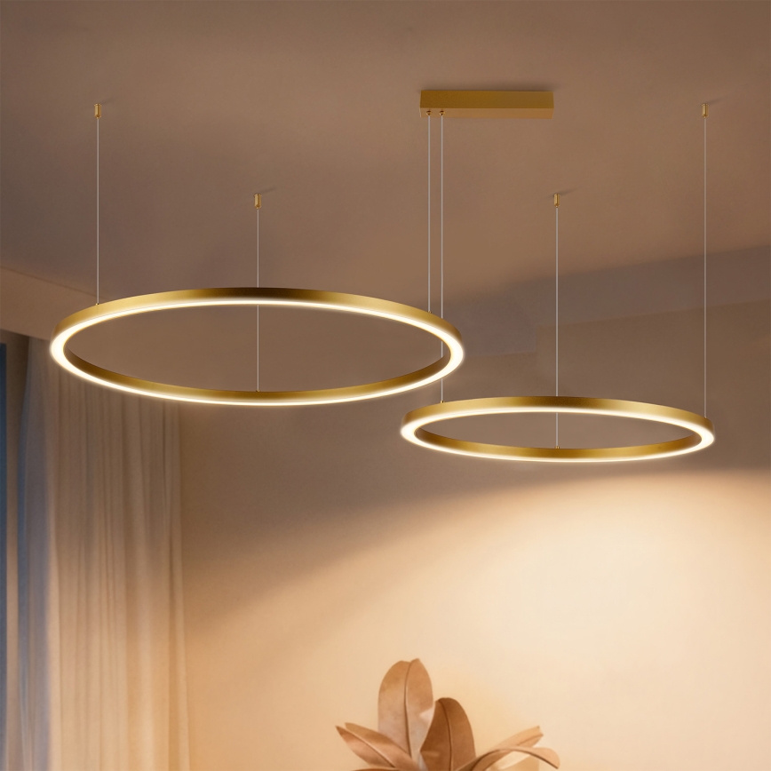 Brilagi - Lustru LED dimabil pe cablu PORTOFINO LED/98W/230V 3000-6000K auriu + telecomandă