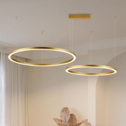 Brilagi - Lustru LED dimabil pe cablu PORTOFINO LED/98W/230V 3000-6000K auriu + telecomandă