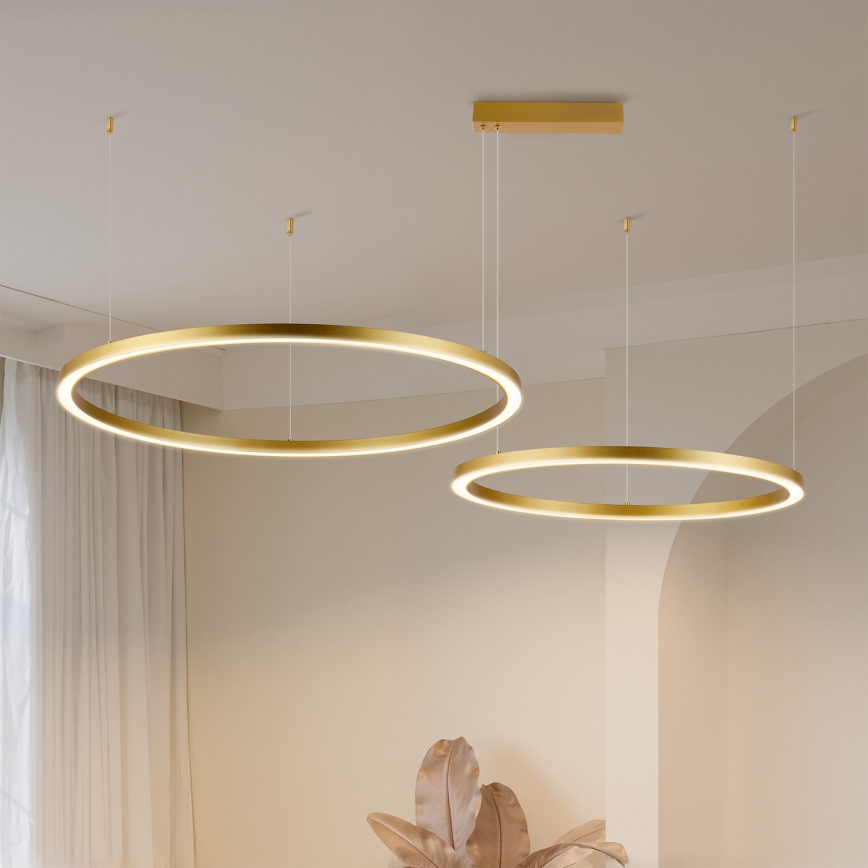 Brilagi - Lustru LED dimabil pe cablu PORTOFINO LED/98W/230V 3000-6000K auriu + telecomandă
