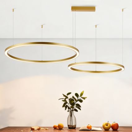 Brilagi - Lustru LED dimabil pe cablu PORTOFINO LED/98W/230V 3000-6000K auriu + telecomandă