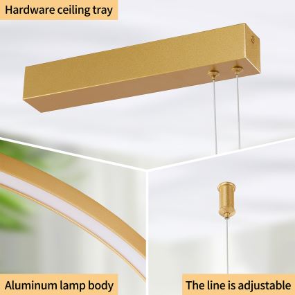 Brilagi - Lustru LED dimabil pe cablu PORTOFINO LED/98W/230V 3000-6000K auriu + telecomandă