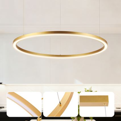 Brilagi - Lustra LED dimabilă suspendată pe cablu PORTOFINO LED/60W/230V 3000-6000K diam. 80 cm auriu + telecomandă
