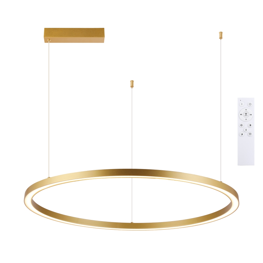 Brilagi - Lustra LED dimabilă suspendată pe cablu PORTOFINO LED/60W/230V 3000-6000K diam. 80 cm auriu + telecomandă