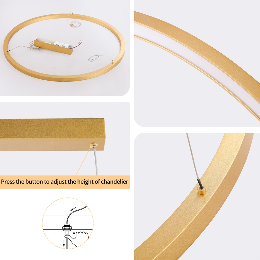 Brilagi - Lustra LED dimabilă suspendată pe cablu PORTOFINO LED/60W/230V 3000-6000K diam. 80 cm auriu + telecomandă
