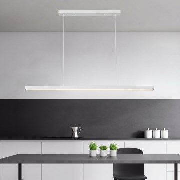 Brilagi - Lustru LED suspendat pe cablu PAXIS LED/30W/230V 120 cm alb
