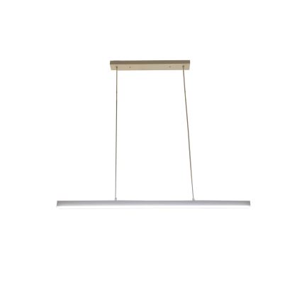 Brilagi - Lustru LED suspendat pe cablu PAXIS LED/30W/230V 120 cm alb