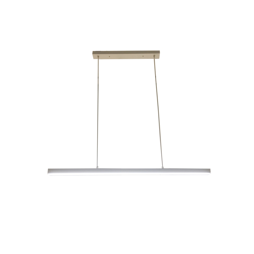 Brilagi - Lustru LED suspendat pe cablu PAXIS LED/30W/230V 120 cm alb
