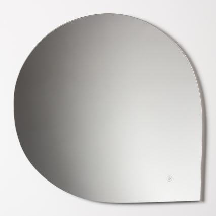 Brilagi - Oglindă LED pentru baie RICADI, LED 19W/230V, 60x60 cm, IP44, CRI 90, reglabilă + CCT