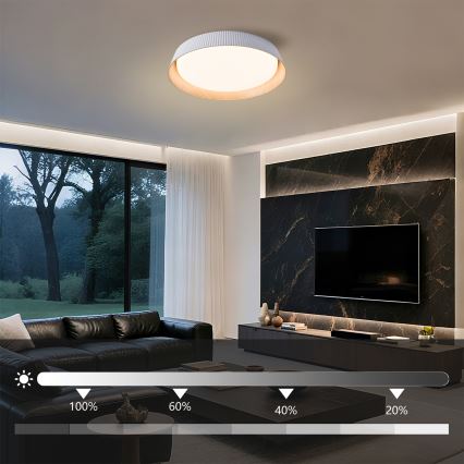 Brilagi - Plafonieră LED reglabilă ORINO LED/54W/230V 3000-6000K albă Ø 43 cm + telecomandă