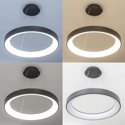 Brilagi - Lustră LED reglabilă pe cablu FALCON II, 99W, 230V, 3000-6500K, Ø 60 cm, neagră + telecomandă