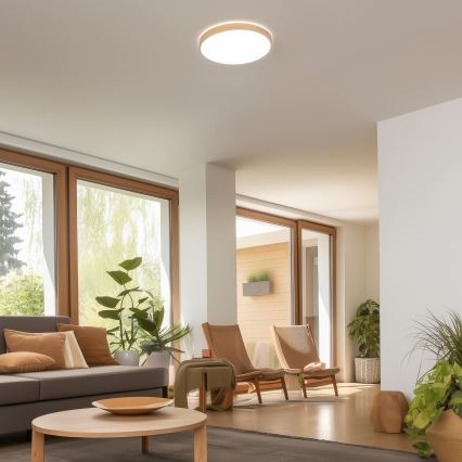 Brilagi - Lampă LED de tavan dimabilă PINE LED/24W/230V, lemn, Ø 42 cm, 3000-6500K + telecomandă