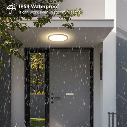 Brilagi - Plafonieră LED pentru baie ULTRA SLIM, 18 W, 230 V, Ø 30 cm, aur roz, IP54