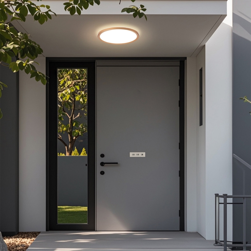 Brilagi - Plafonieră LED pentru baie ULTRA SLIM, 18 W, 230 V, Ø 30 cm, aur roz, IP54