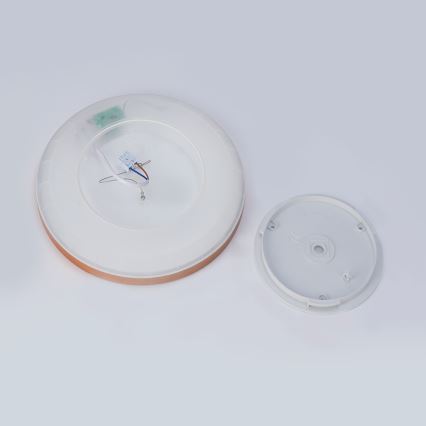 Brilagi - Plafonieră LED pentru baie ULTRA SLIM, 18 W, 230 V, Ø 30 cm, aur roz, IP54