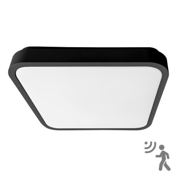 BRILAGI - plafonieră de baie LED cu senzor ZENNA LED/36W/230V 41,5x41,5 cm IP44 negru + telecomandă
