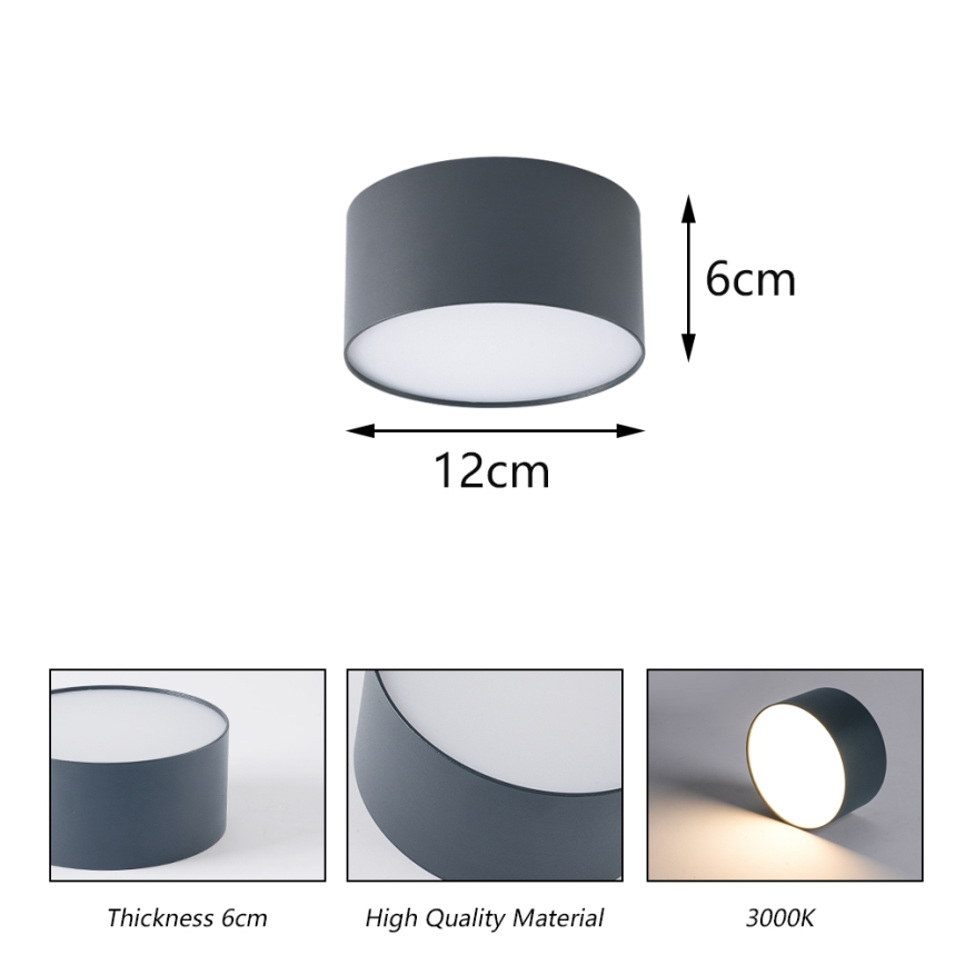 BRILAGI - Plafonieră LED de exterior FORIS LED/14W/230V, Ø 12 cm, antracit IP44