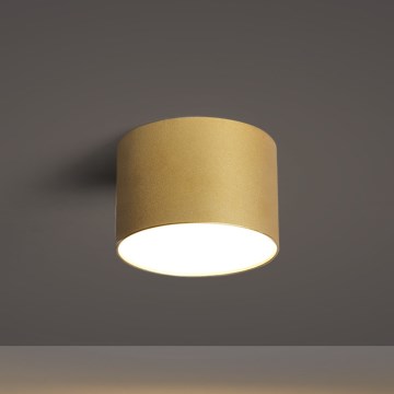BRILAGI - Plafonieră de exterior FORIS LED/9W/230V Ø 9 cm auriu IP44