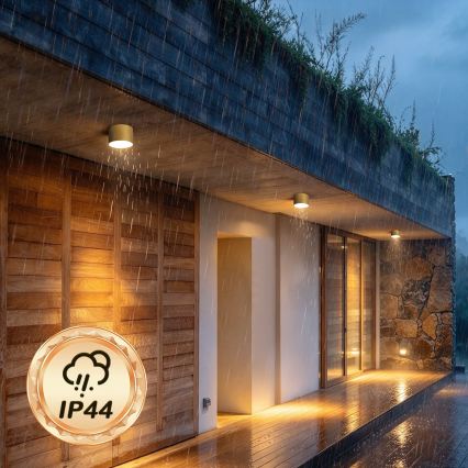 BRILAGI - Plafonieră de exterior FORIS LED/9W/230V Ø 9 cm auriu IP44