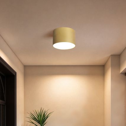 BRILAGI - Plafonieră de exterior FORIS LED/9W/230V Ø 9 cm auriu IP44