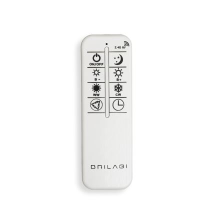 BRILAGI - Plafonieră LED dimabilă APOLLO LED/58W/230V 3000-6500K 43,2x101,2 cm neagră + telecomandă