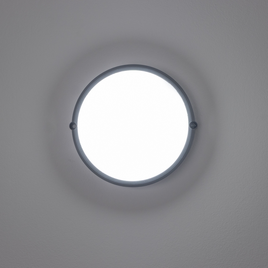 Brilagi - Plafonieră industrială LED SIMA LED/12W/230V IP65 negru