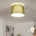 Brilagi - Plafonieră LED aplicată CERIA 1xE27/40W/230V, Ø 30 cm, verde