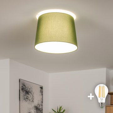 Brilagi - Plafonieră LED aplicată CERIA 1xE27/40W/230V, Ø 30 cm, verde