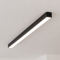 Brilagi - Plafonieră LED aplicată FULLDAY, 20/30/40 W, 230 V, 2700/4000/6000 K, 120 cm, negru