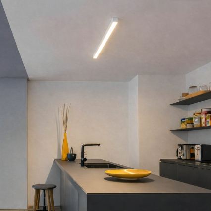 Brilagi - Plafonieră LED aplicată FULLDAY LED/10/15/20W/230V 2700/4000/6000K 60 cm alb