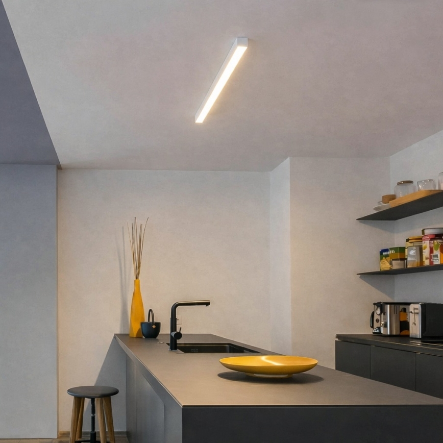 Brilagi - Plafonieră LED aplicată FULLDAY LED/10/15/20W/230V 2700/4000/6000K 60 cm alb