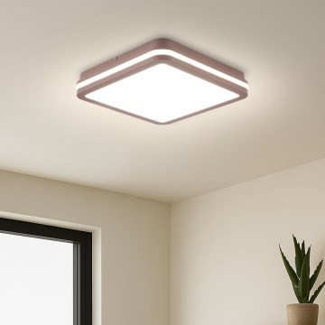 Brilagi - Plafonieră LED de exterior BENE LED/24W/230V 26x26 cm maro IP54
