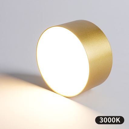 BRILAGI - corp de iluminat de tavan pentru exterior cu LED FORIS LED/14W/230V Ø 12 cm auriu IP44