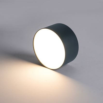 BRILAGI - Plafonieră LED pentru exterior FORIS LED/9W/230V Ø 9 cm antracit IP44