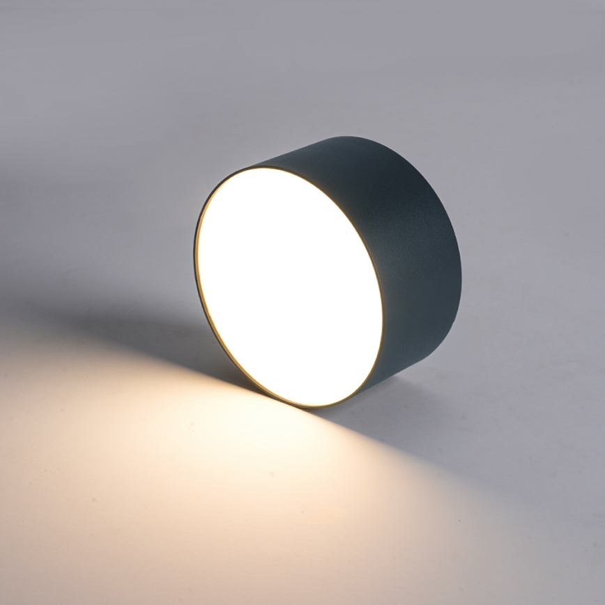 BRILAGI - Plafonieră LED pentru exterior FORIS LED/9W/230V Ø 9 cm antracit IP44
