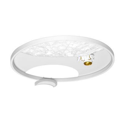 Brilagi - Plafonieră LED dimabilă ASTRO, 20W, 230V, Ø 50 cm, 3000-6000K, finisaj astronaut, telecomandă inclusă