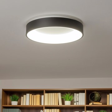 Brilagi - Plafonieră LED dimabilă FALCON, 40 W, 230 V, 3000–6500 K, Ø45 cm, negru, cu telecomandă